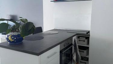 Studio Apartman Ante - Foto 5, stove, pet friendly