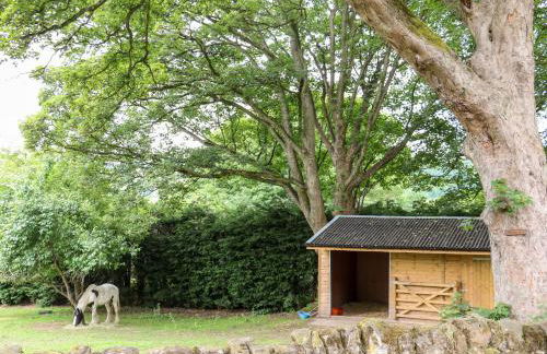 Bluebell Cottage - Foto 16