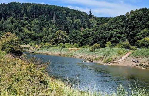 Secluded and self-contained Room with a View - Foto 21