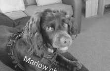 8 Berth Caravan at Blue Dolphin East coast - Foto 30