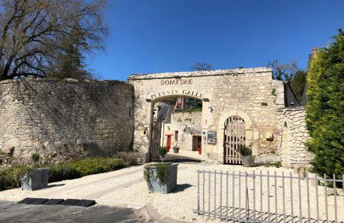 Domaine Plessis Gallu - vacation cottage rental - Foto 35