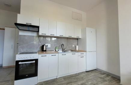 Apartamenty Parkowe nr 3 - Foto 7