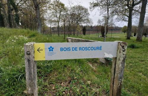 Grand studio, tout équipé et rénové. - Foto 2