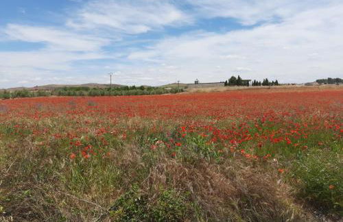 La Cachumba - Foto 25