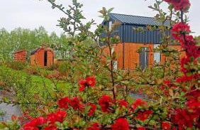 Pigwowcowe Zacisze - Foto 1