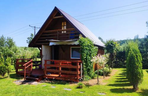 Domki w Bieszczadach - Foto 3