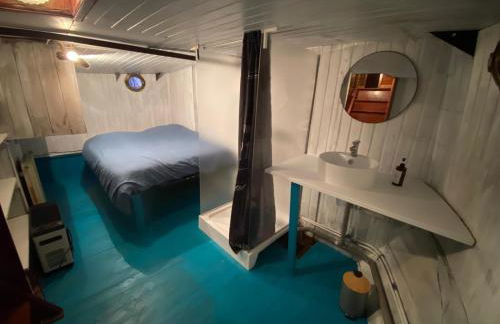 Péniche Amadeus conviviale et cosy , proche de Disney et de Paris - Foto 35