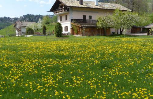 Maso Pinterato - Foto 10