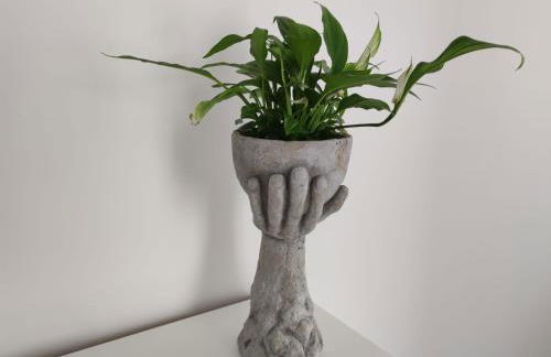 Abate Filippo apartment - Foto 12