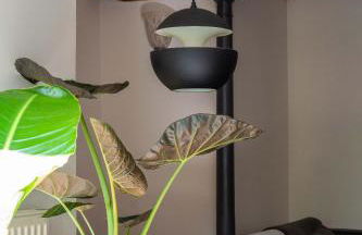 Ivy Cottage - Foto 34