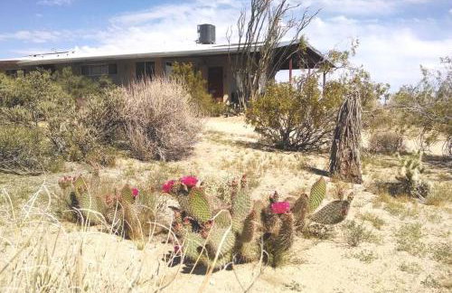 Steph's Panorama Paradise-Nat'l Park minutes away - Foto 70