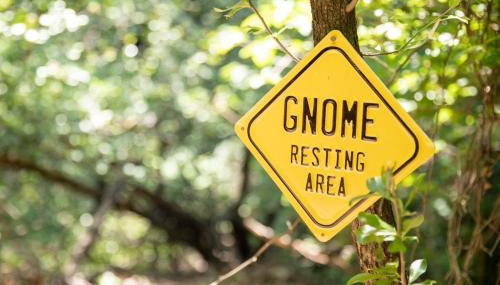 Hobbit Treehouse with waterfall on the Brazos River! 350 acres! Tubing! Petting zoo! - Foto 3