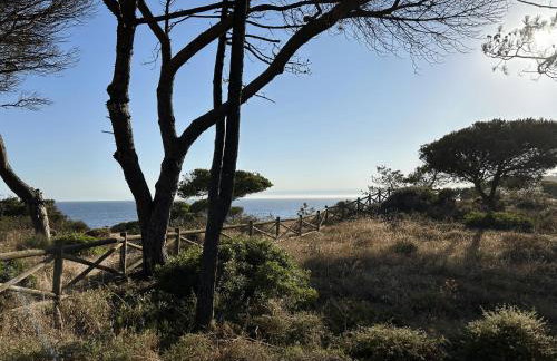 Vivenda Alfamar 2120 - 180m da praia - Foto 27