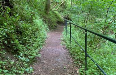 Paradies in der Vulkaneifel mit Panorama-Blick - Foto 39