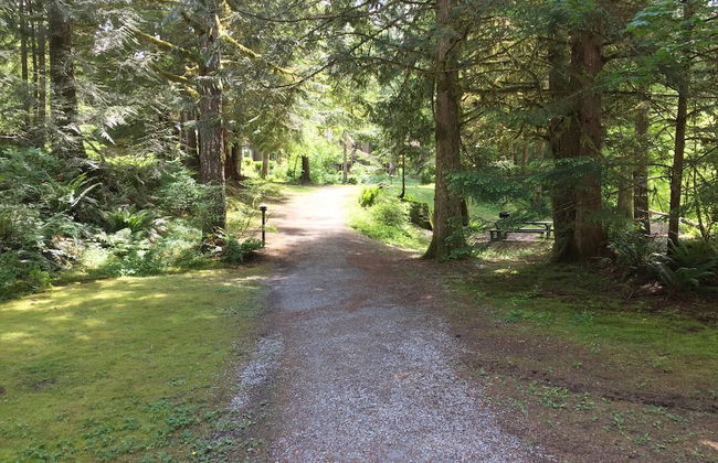 68SW - Fireplace - Washer/Dryer - Dishwasher- Sleeps 4 - Foto 19