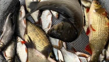 Natura Apartamenty - Foto 3