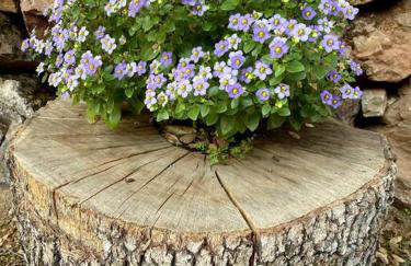 B-B Ranch Cottage~Heart of Gold Country~*HOT TUB* - Foto 49