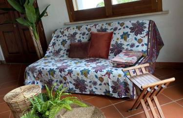 La Casetta di Trignano - Photo 31