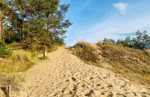 der Elbe so nah 2 - Foto 21