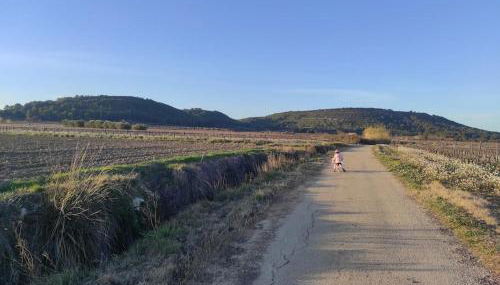 Studio Calvisson La Martinette - Photo 5