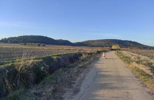 Studio Calvisson La Martinette - Photo 5