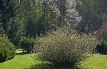 Zielony Zakątek - Foto 10