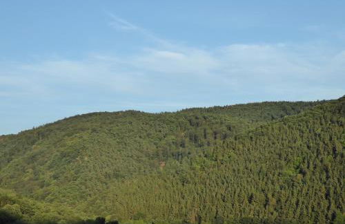 Ferienwohnung David - Foto 30