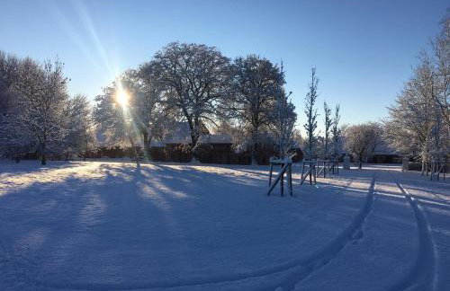 Ferienwohnung Alte Schmiede mit Gutspark - Foto 31
