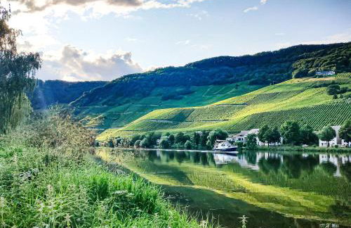 Garden Eden - Foto 37