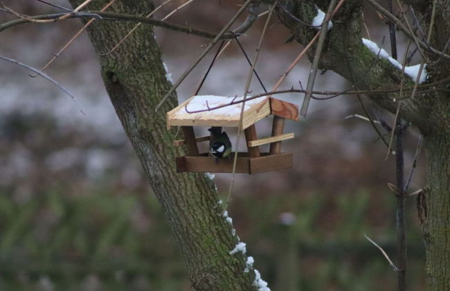 aan de Oever van de Werra - Foto 21