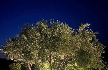 Villa Aurelia - Foto 3