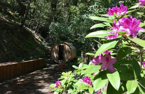 Avenue of the Giants River View Home (#1) - Foto 26