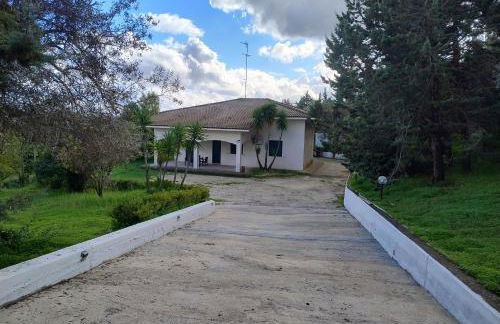 Odori di zagara - Foto 1