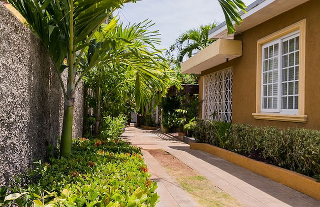 Botanic Bliss Living in Kingston - Photo 30