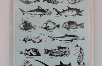 Maison 8 personnes à 100 m de la plage de la Clère - Foto 12