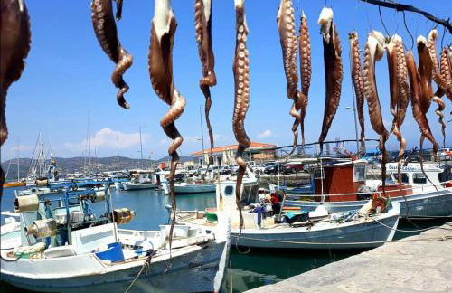 Evgenia's Guest House - Foto 17