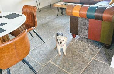 Hay's Wood Retreat - Holiday Lodges - Foto 24