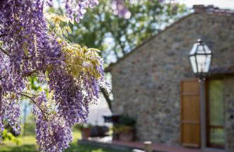 Le Cetinelle B&B - Foto 58