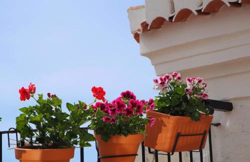 Casa Amandava - Photo 43