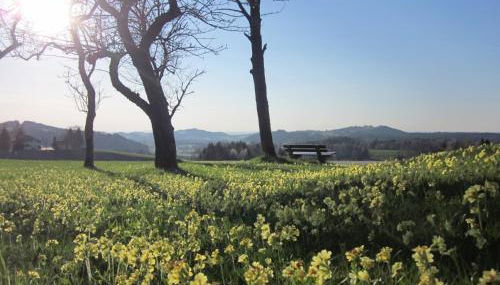 Ferienhaus am Riedl - Foto 3