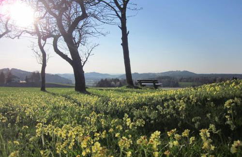 Ferienhaus am Riedl - Foto 3
