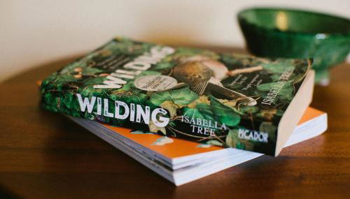 Autumn House - Home from home in Alnwick - Foto 5