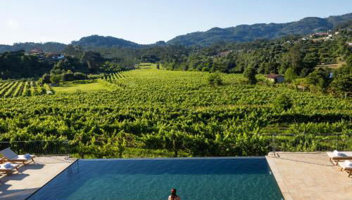 Quinta de Cypriano - Wine & Nature - Foto 5, Garden view