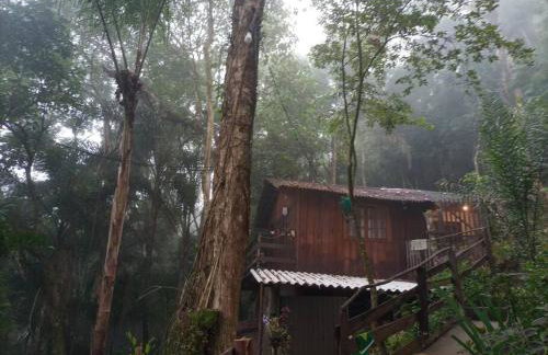 Chalé Refúgio dos Aventureiros Mata Atlântica - Foto 52