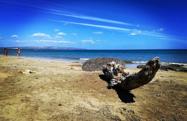 Beachside Getaway w/ Garden - Foto 36