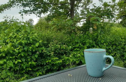 Tinyhouse Wemding - Foto 9