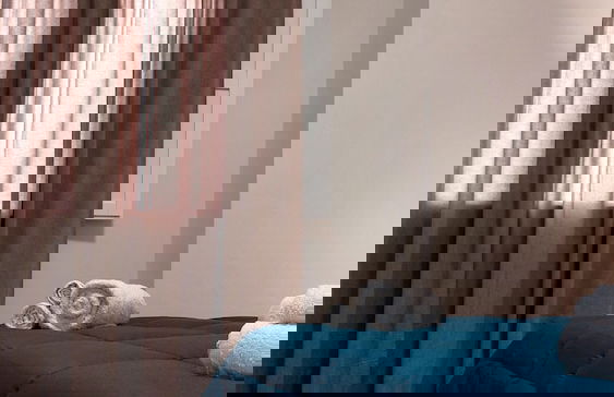 Il Sogno Siciliano - Photo 13