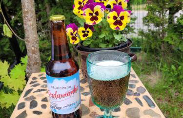 Domki RADAWA na Kliszówce - Foto 58