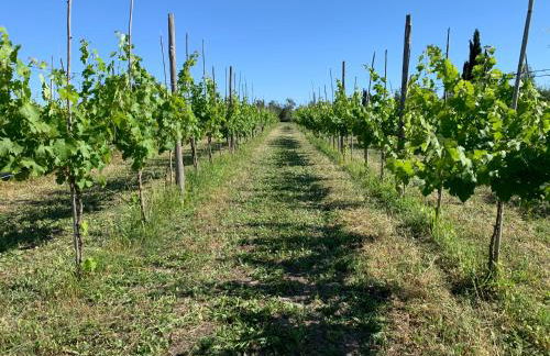 Resort Fonte Vulci - Foto 85