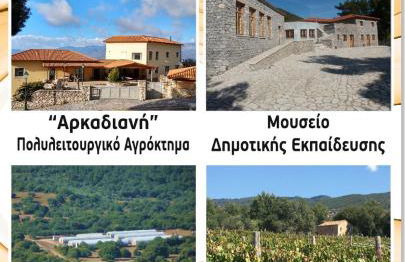 Arcadianis Villa at Psari Trikolonon Gortynia - Photo 31